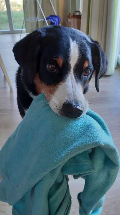 Foto Challenge die Vierte-Beitrag-Bild