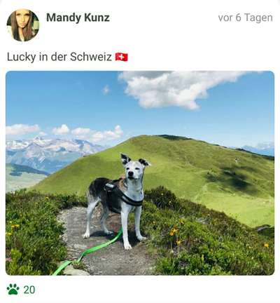 Challenge 41 - Mein Hund im Urlaub-Beitrag-Bild