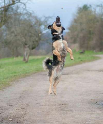 Fotochallenge Nr. 52 „Spring!“-Beitrag-Bild