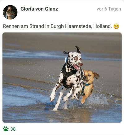 Fotochallenge Nr.100 Urlaubsimpressionen-Beitrag-Bild