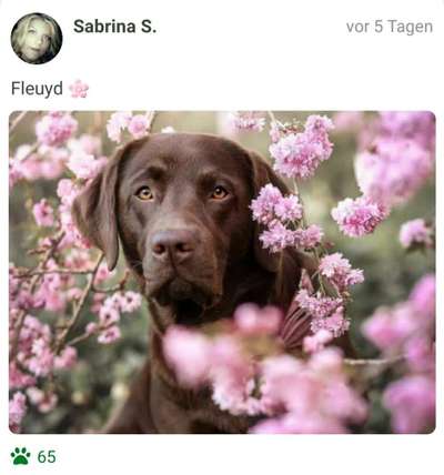 Fotochallenge 78

Es grünt und blüht-Beitrag-Bild