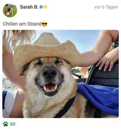 Fotochallenge Nr. 94 It's summer time-Beitrag-Bild