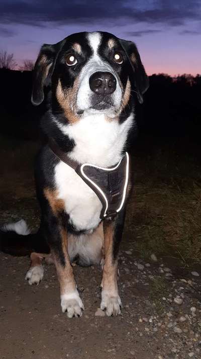 Fotochallenge Nr. 56 - geliebte Senioren-Beitrag-Bild