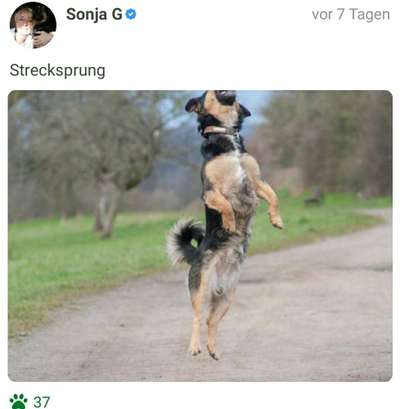 Fotochallenge Nr. 52 „Spring!“-Beitrag-Bild