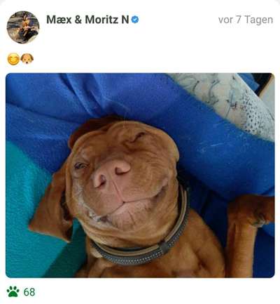 Foto-Challenge Nr. 90: Lebensfreude-Beitrag-Bild