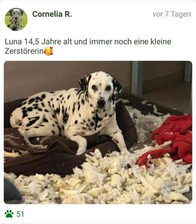 Fotochallenge Nr. 56 - geliebte Senioren-Beitrag-Bild