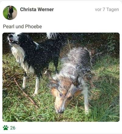 Fotochallenge Nummer 49: Schüttel dich-Beitrag-Bild