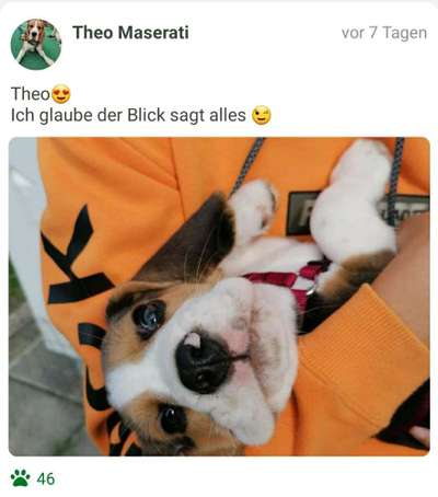 Foto Challenge 82-Beitrag-Bild