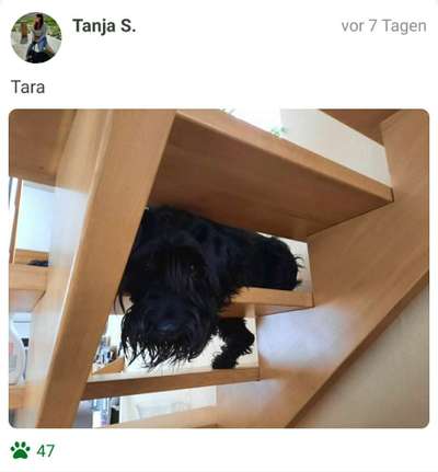 Foto Challange Nr.80-Beitrag-Bild