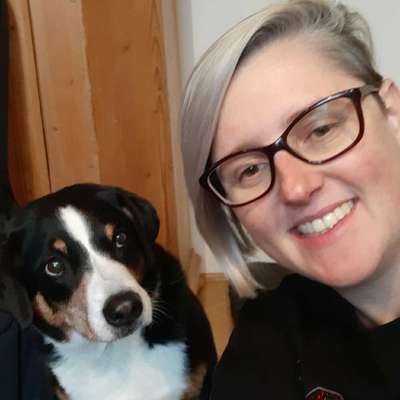 Hundetreffen-Trainingspartner