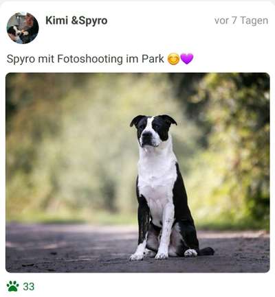 Fotochallenge 87: Im Park-Beitrag-Bild