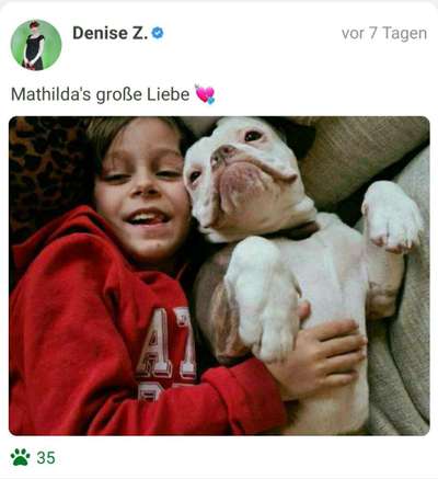 FOTOCHALLENGE 68: Dein Hund und sein bester Freund-Beitrag-Bild