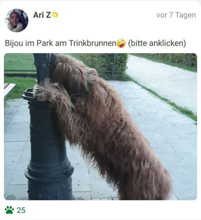 Fotochallenge 87: Im Park-Beitrag-Bild