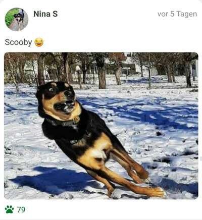 Fotochallange 84-Beitrag-Bild