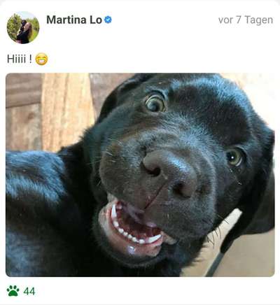 Fotochallenge Nr. 47 - Zeigt die Zähne-Beitrag-Bild