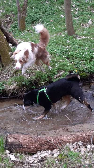 Challenge 30  Freundschaft-Beitrag-Bild