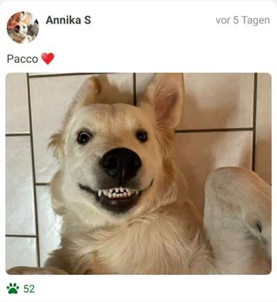 Fotochallenge Nr. 47 - Zeigt die Zähne-Beitrag-Bild