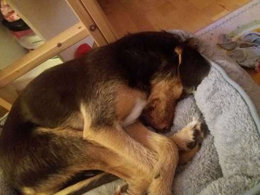 Die unbequemsten und lustigsten Schlafpositionen-Beitrag-Bild