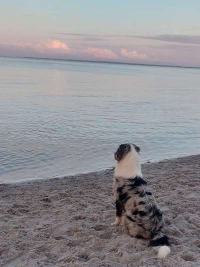 Fotochallenge Nr.100 Urlaubsimpressionen-Beitrag-Bild