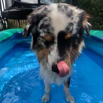 Handyfoto challenge Nr. 13: Waschlappen raus!-Beitrag-Bild