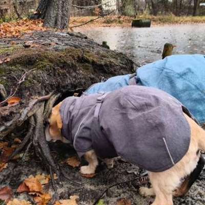 "Wege zur Freundschaft" (Ulli Reichmann)-Beitrag-Bild