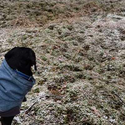 "Wege zur Freundschaft" (Ulli Reichmann)-Beitrag-Bild