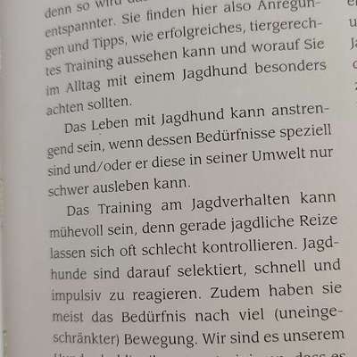 "Wege zur Freundschaft" (Ulli Reichmann)-Beitrag-Bild