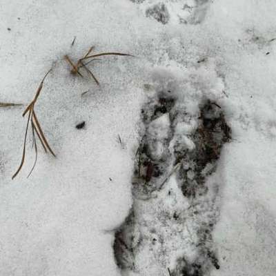 "Wege zur Freundschaft" (Ulli Reichmann)-Beitrag-Bild