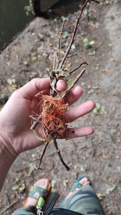 Was hat euch heute genervt?-Beitrag-Bild