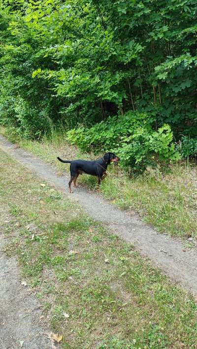 "Wege zur Freundschaft" (Ulli Reichmann)-Beitrag-Bild