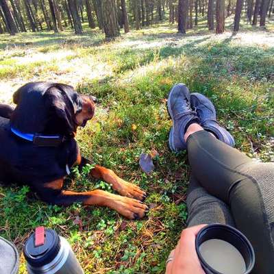 "Wege zur Freundschaft" (Ulli Reichmann)-Beitrag-Bild