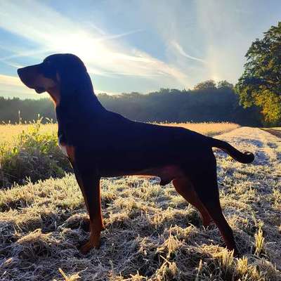 "Wege zur Freundschaft" (Ulli Reichmann)-Beitrag-Bild