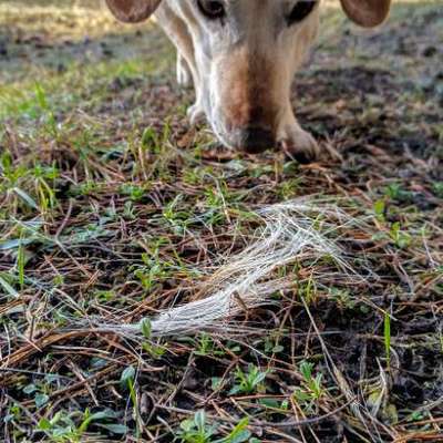 "Wege zur Freundschaft" (Ulli Reichmann)-Beitrag-Bild