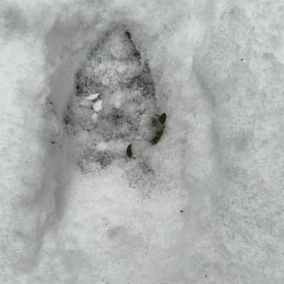 "Wege zur Freundschaft" (Ulli Reichmann)-Beitrag-Bild