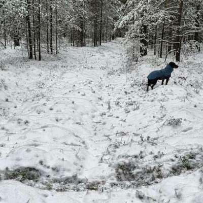 "Wege zur Freundschaft" (Ulli Reichmann)-Beitrag-Bild