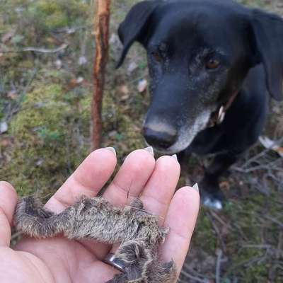 "Wege zur Freundschaft" (Ulli Reichmann)-Beitrag-Bild
