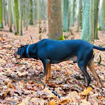 "Wege zur Freundschaft" (Ulli Reichmann)-Beitrag-Bild