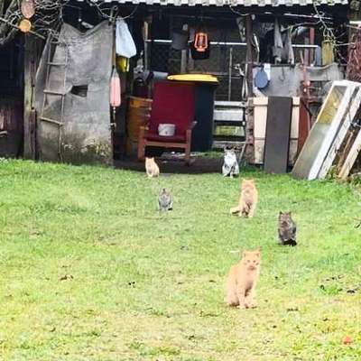 "Wege zur Freundschaft" (Ulli Reichmann)-Beitrag-Bild