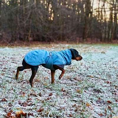 "Wege zur Freundschaft" (Ulli Reichmann)-Beitrag-Bild
