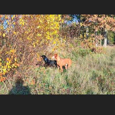 "Wege zur Freundschaft" (Ulli Reichmann)-Beitrag-Bild