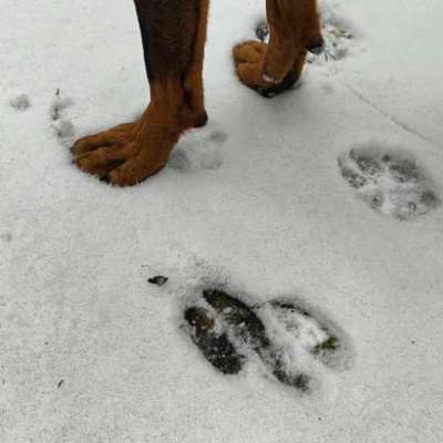 "Wege zur Freundschaft" (Ulli Reichmann)-Beitrag-Bild