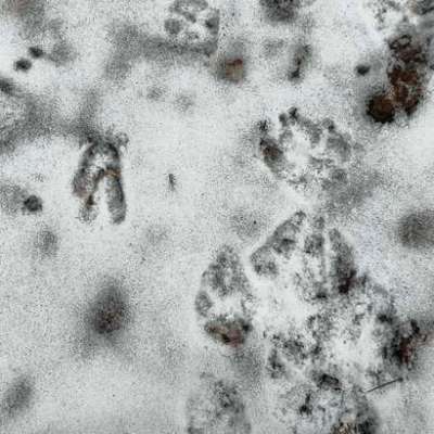 "Wege zur Freundschaft" (Ulli Reichmann)-Beitrag-Bild