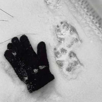 "Wege zur Freundschaft" (Ulli Reichmann)-Beitrag-Bild