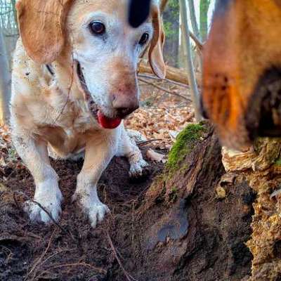 "Wege zur Freundschaft" (Ulli Reichmann)-Beitrag-Bild