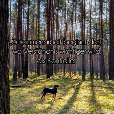 "Wege zur Freundschaft" (Ulli Reichmann)-Beitrag-Bild