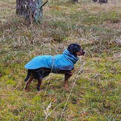 "Wege zur Freundschaft" (Ulli Reichmann)-Beitrag-Bild