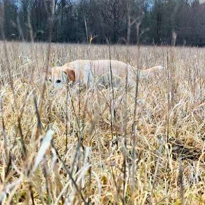 "Wege zur Freundschaft" (Ulli Reichmann)-Beitrag-Bild