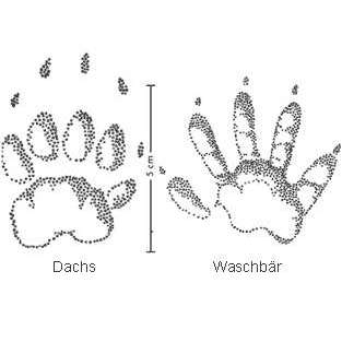 "Wege zur Freundschaft" (Ulli Reichmann)-Beitrag-Bild