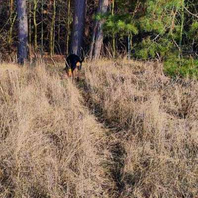 "Wege zur Freundschaft" (Ulli Reichmann)-Beitrag-Bild