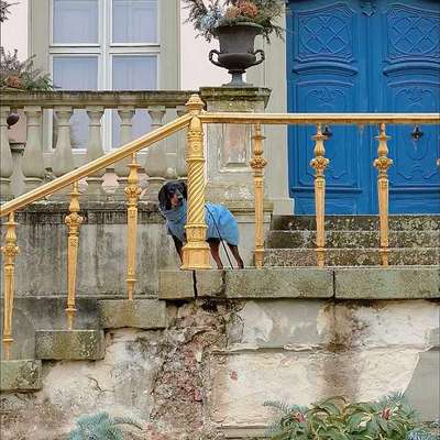 "Wege zur Freundschaft" (Ulli Reichmann)-Beitrag-Bild